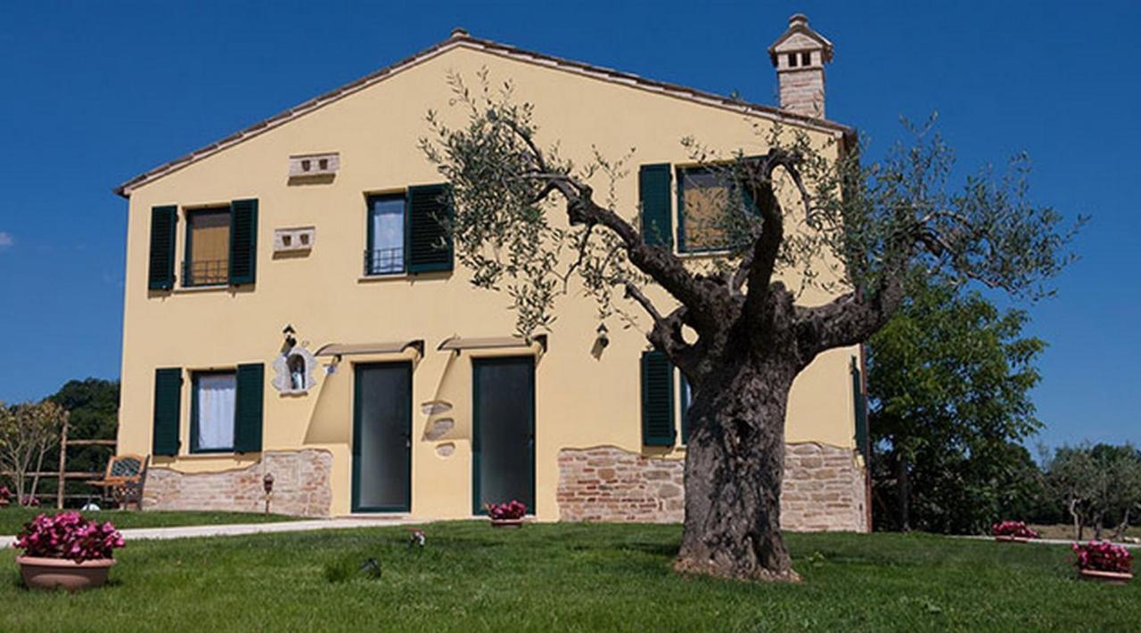 La Tana Del Cinghiale Villa Santa Vittoria in Matenano Exterior photo